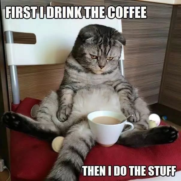 First i drink the coffee, then i do the stuffs cat