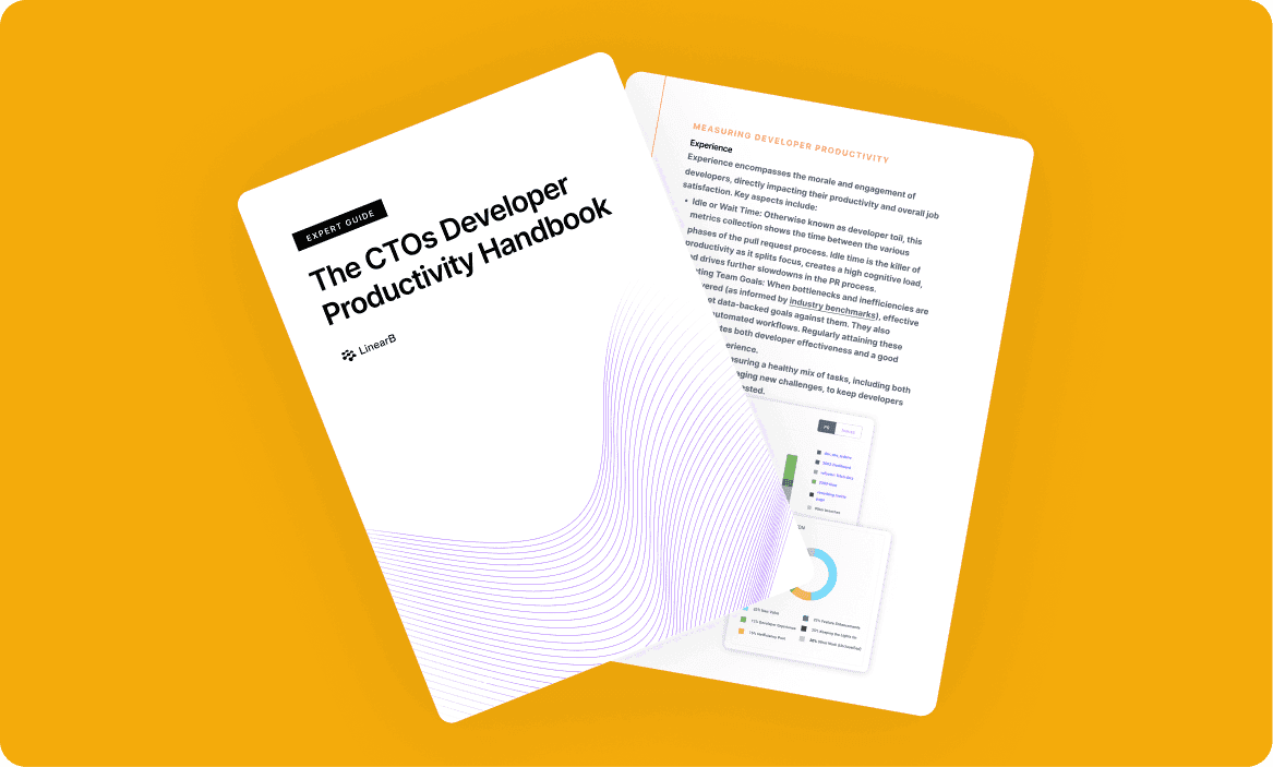 Cover image for The CTOs Developer Productivity Handbook 