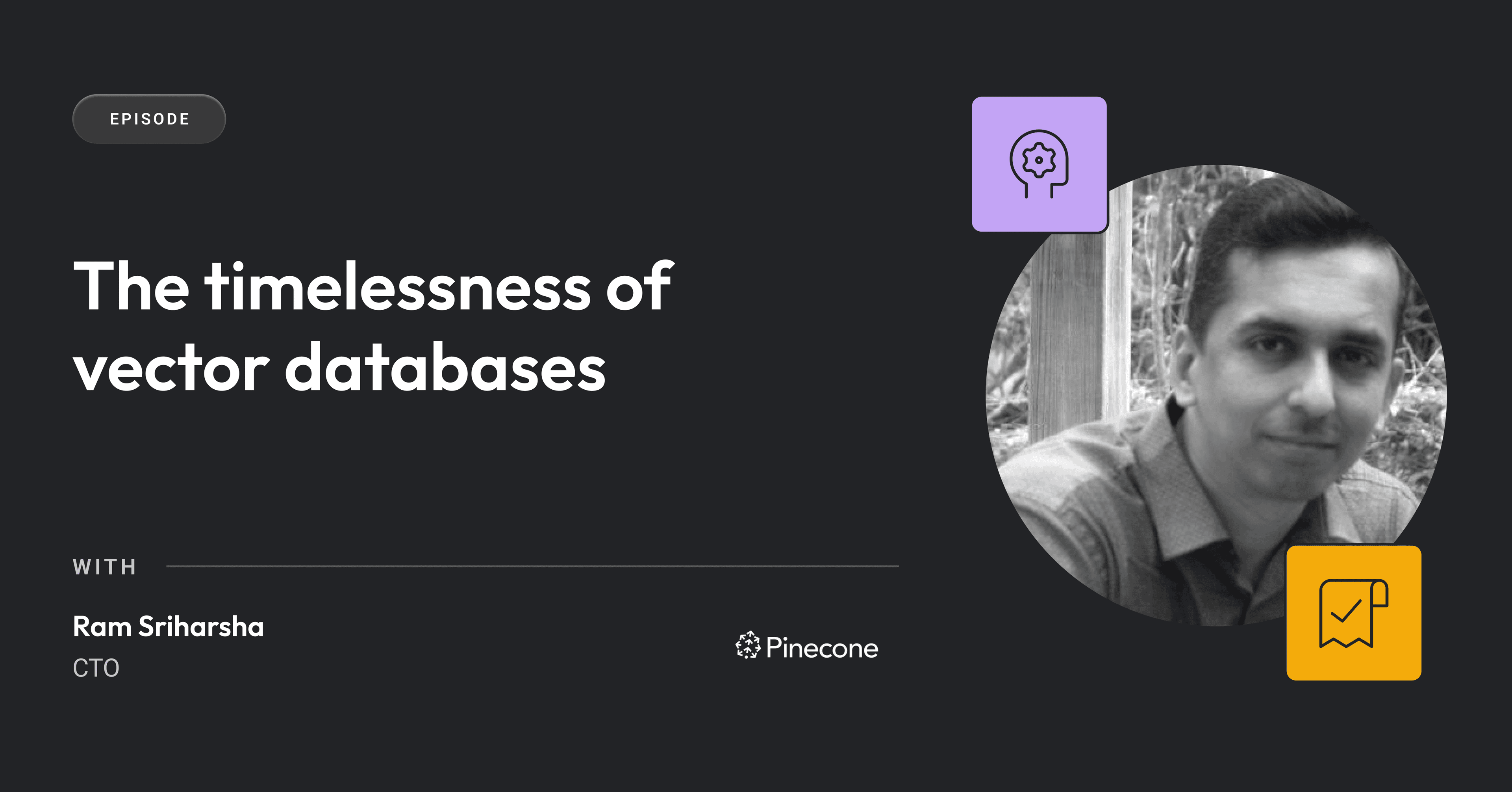 Cover image for The timelessness of vector databases